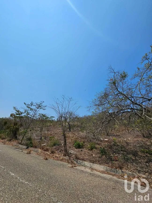 Terreno en Venta en La Ejidal, Berriozábal, Chiapas | NEX-268373 | iad México | Foto 3 de 12