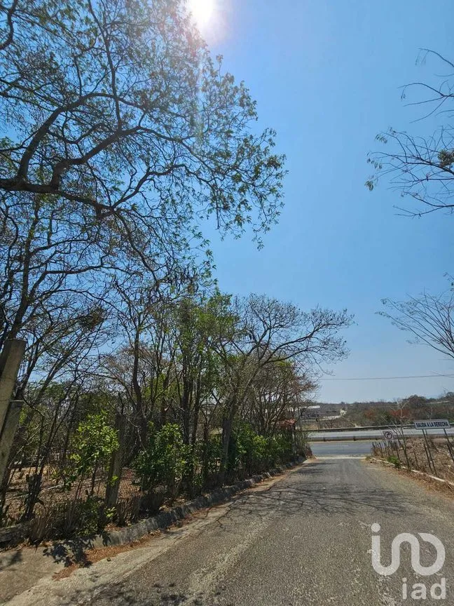 Terreno en Venta en La Ejidal, Berriozábal, Chiapas | NEX-268373 | iad México | Foto 5 de 12