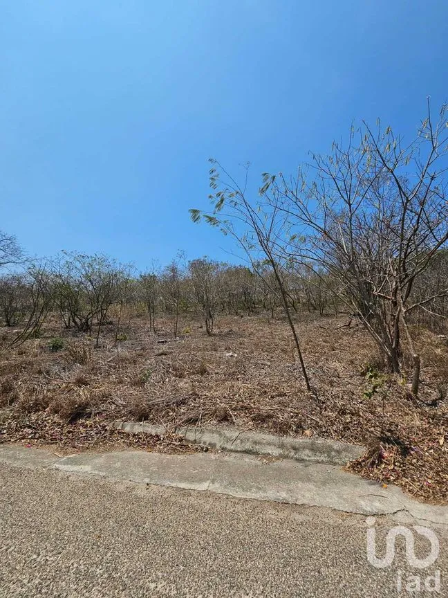Terreno en Venta en La Ejidal, Berriozábal, Chiapas | NEX-268373 | iad México | Foto 6 de 12