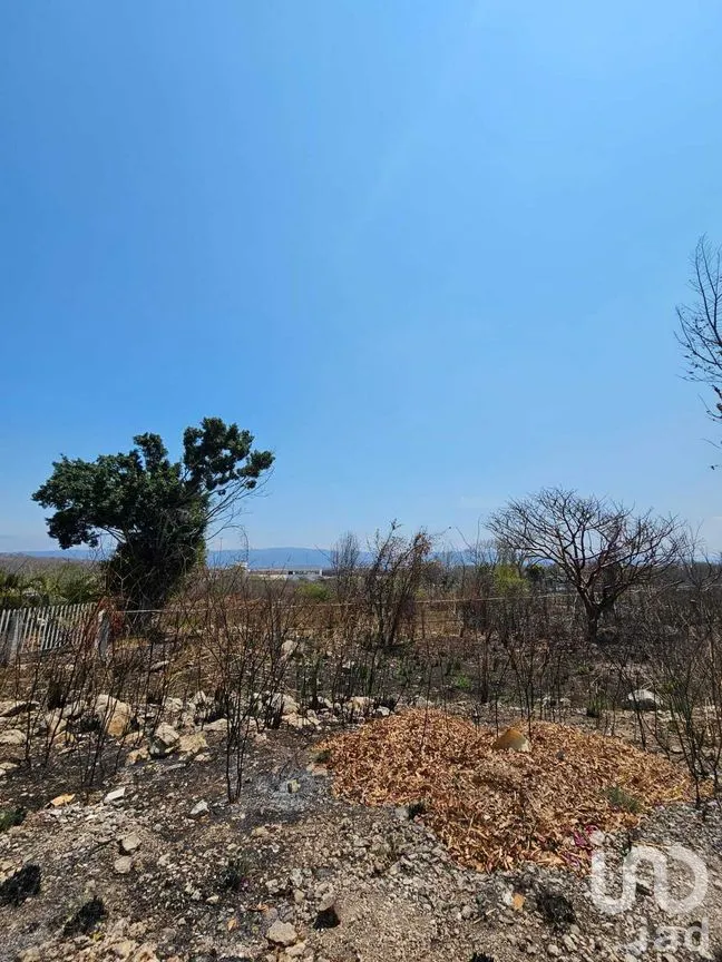 Terreno en Venta en La Ejidal, Berriozábal, Chiapas | NEX-268373 | iad México | Foto 7 de 12