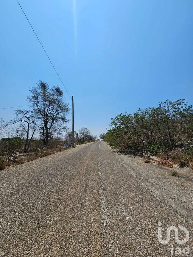 Terreno en Venta en La Ejidal, Berriozábal, Chiapas | NEX-268373 | iad México | Foto 8 de 12