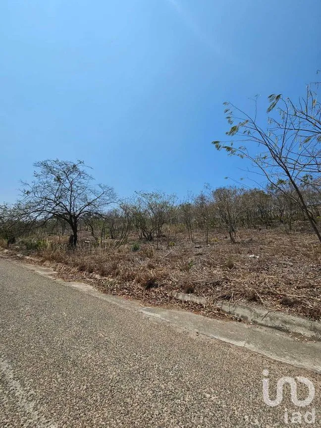 Terreno en Venta en La Ejidal, Berriozábal, Chiapas | NEX-268373 | iad México | Foto 9 de 12