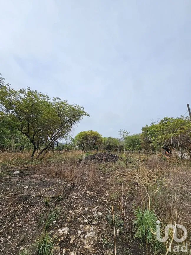 Terreno en Venta en Terán, Tuxtla Gutiérrez, Chiapas | NEX-272183 | iad México | Foto 13 de 19
