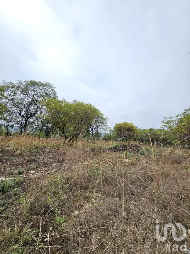 Terreno en Venta en Terán, Tuxtla Gutiérrez, Chiapas | NEX-272183 | iad México | Foto 7 de 19