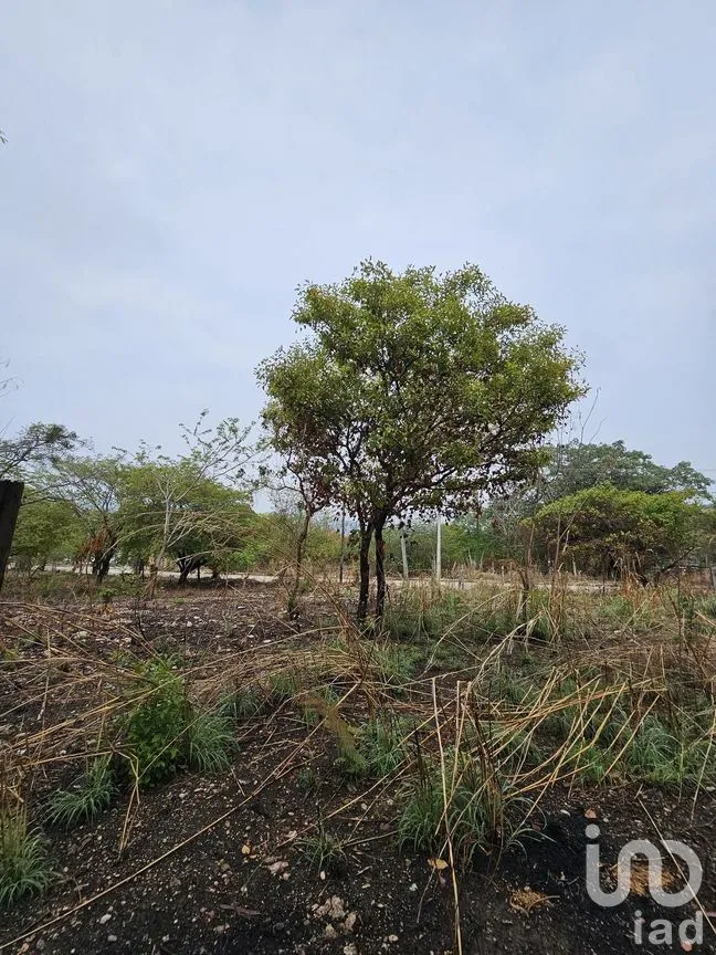 Terreno en Venta en Terán, Tuxtla Gutiérrez, Chiapas | NEX-272183 | iad México | Foto 10 de 19