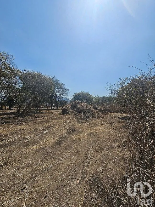 Terreno en Venta en Terán, Tuxtla Gutiérrez, Chiapas | NEX-290649 | iad México | Foto 21 de 30