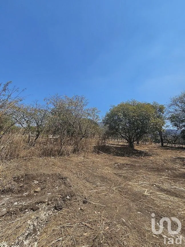 Terreno en Venta en Terán, Tuxtla Gutiérrez, Chiapas | NEX-290649 | iad México | Foto 22 de 30