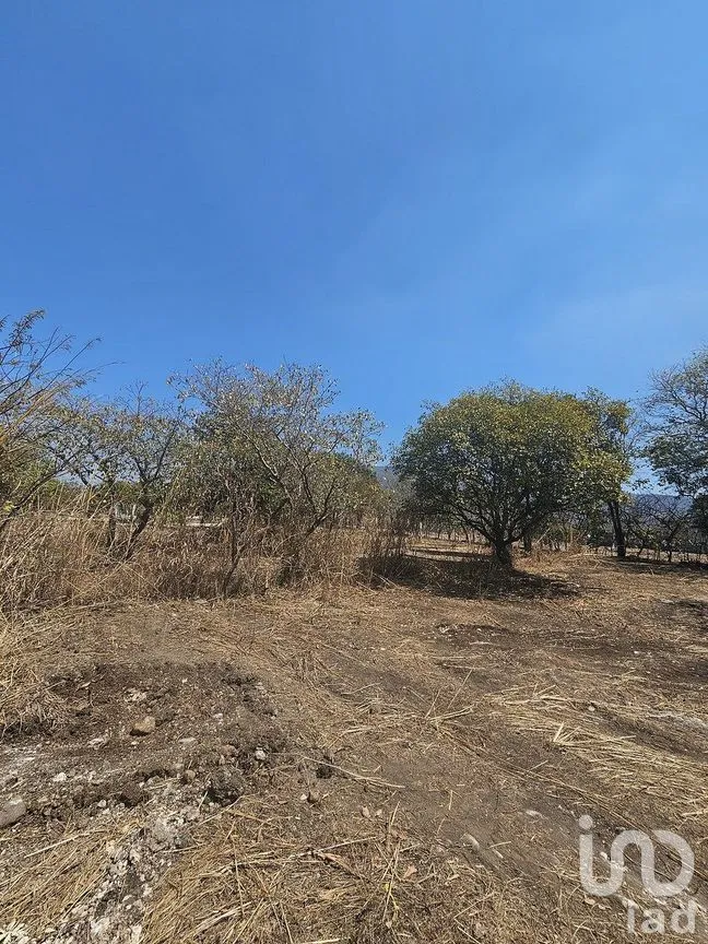 Terreno en Venta en Terán, Tuxtla Gutiérrez, Chiapas | NEX-290649 | iad México | Foto 29 de 30