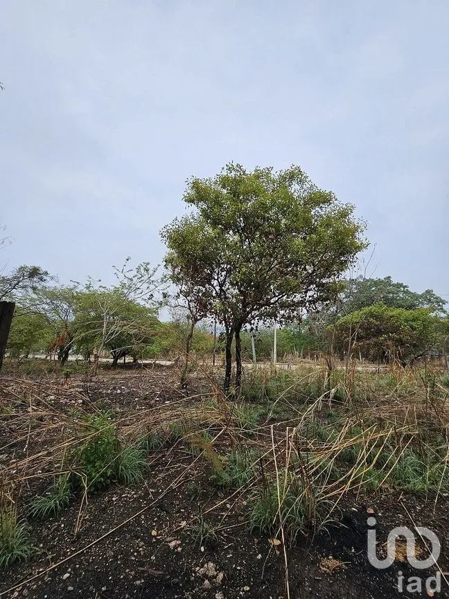 Terreno en Venta en Terán, Tuxtla Gutiérrez, Chiapas | NEX-290649 | iad México | Foto 6 de 30