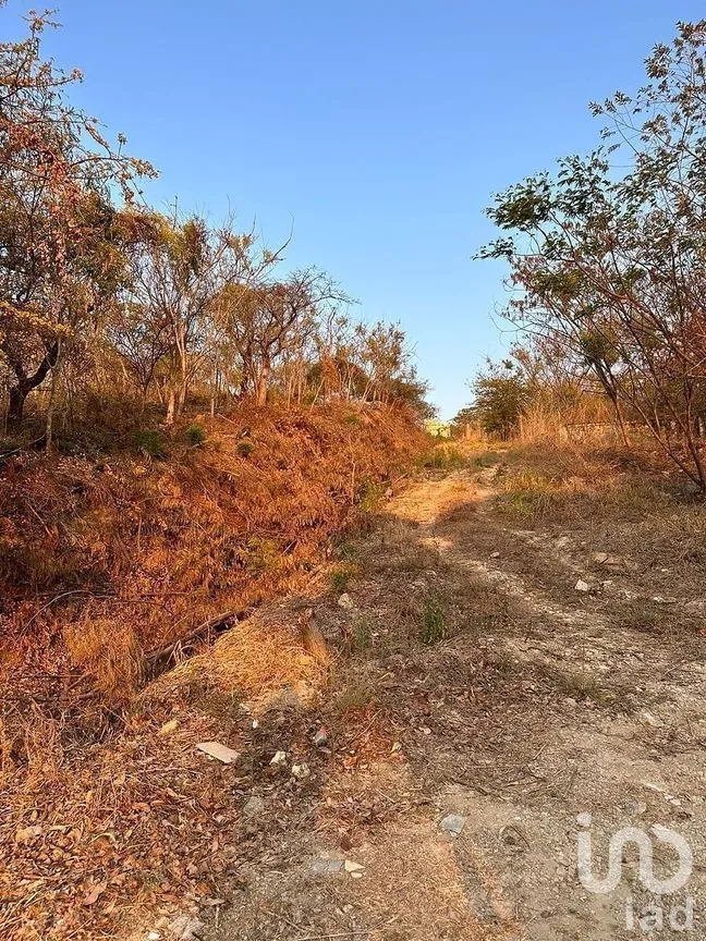 Terreno en Venta en Terán, Tuxtla Gutiérrez, Chiapas | NEX-293081 | iad México | Foto 3 de 6