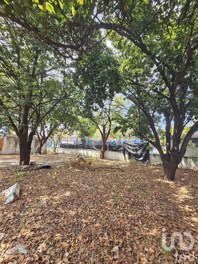 Terreno en Venta en El Brasilito, Tuxtla Gutiérrez, Chiapas | NEX-293181 | iad México | Foto 15 de 18