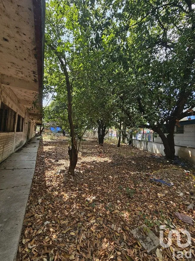 Terreno en Venta en El Brasilito, Tuxtla Gutiérrez, Chiapas | NEX-293181 | iad México | Foto 8 de 18