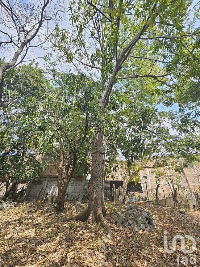 Terreno en Venta en El Brasilito, Tuxtla Gutiérrez, Chiapas | NEX-293181 | iad México | Foto 9 de 18