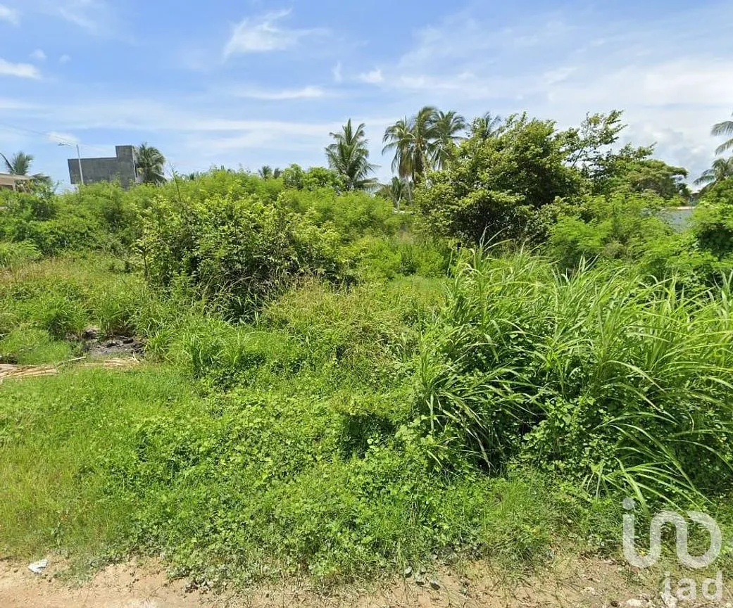 Terreno en Venta en Puerto Arista, Tonalá, Chiapas | NEX-293722 | iad México | Foto 6 de 12