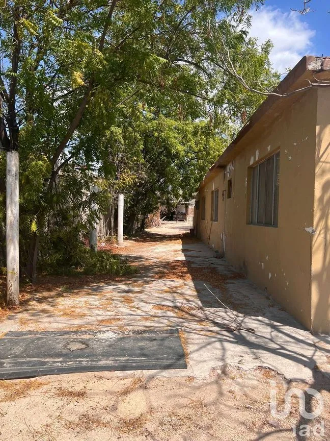 Terreno en Venta en Guerrero, La Paz, Baja California Sur | NEX-227768 | iad México | Foto 8 de 10