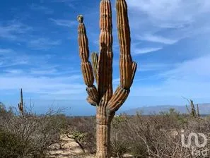 NEX-278883 - Terreno en Venta en Los Planes, CP 23230, Baja California Sur.