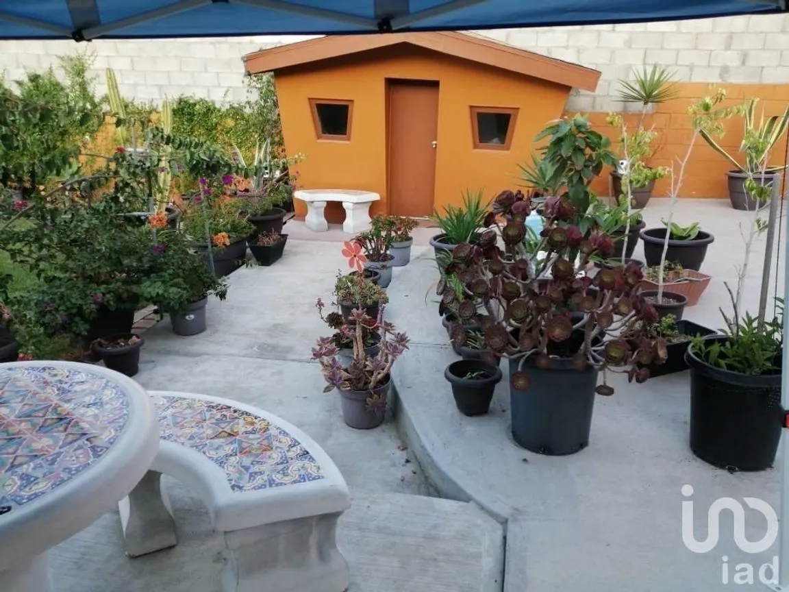 Casa en Venta en Juárez, Tijuana, Baja California | NEX-228069 | iad México | Foto 38 de 50