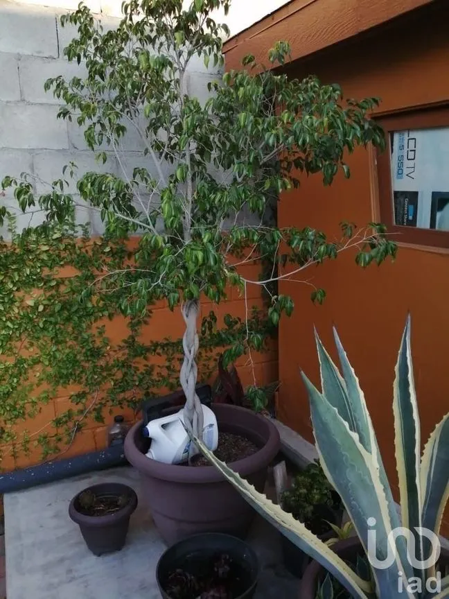 Casa en Venta en Juárez, Tijuana, Baja California | NEX-228069 | iad México | Foto 42 de 50
