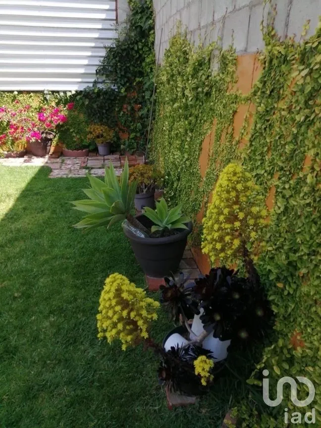 Casa en Venta en Juárez, Tijuana, Baja California | NEX-228069 | iad México | Foto 44 de 50