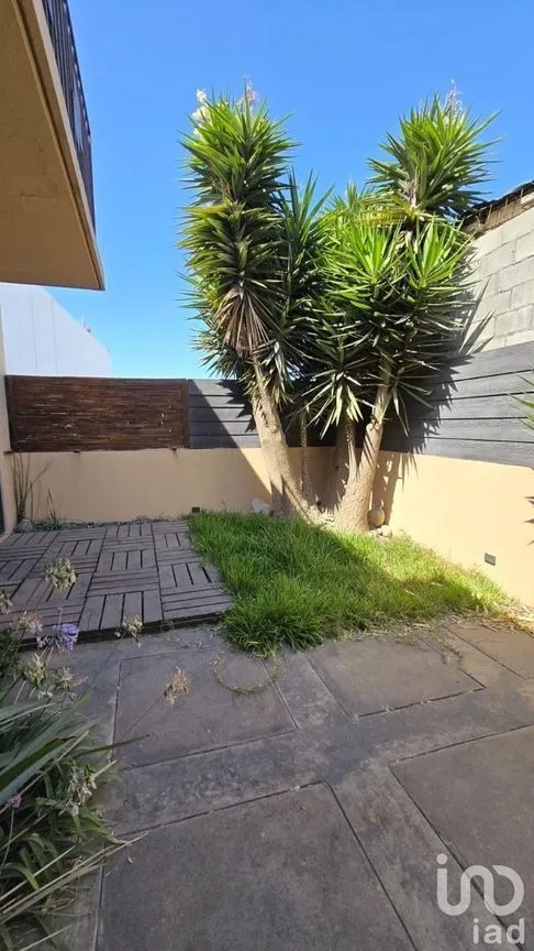 Casa en Venta en Las Plazas, Tijuana, Baja California | NEX-228491 | iad México | Foto 12 de 36