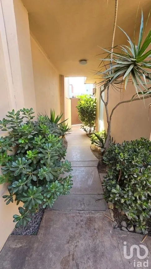 Casa en Venta en Las Plazas, Tijuana, Baja California | NEX-228491 | iad México | Foto 6 de 36