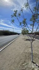 NEX-279116 - Terreno en Venta en El Zacatal, CP 23088, Baja California Sur.