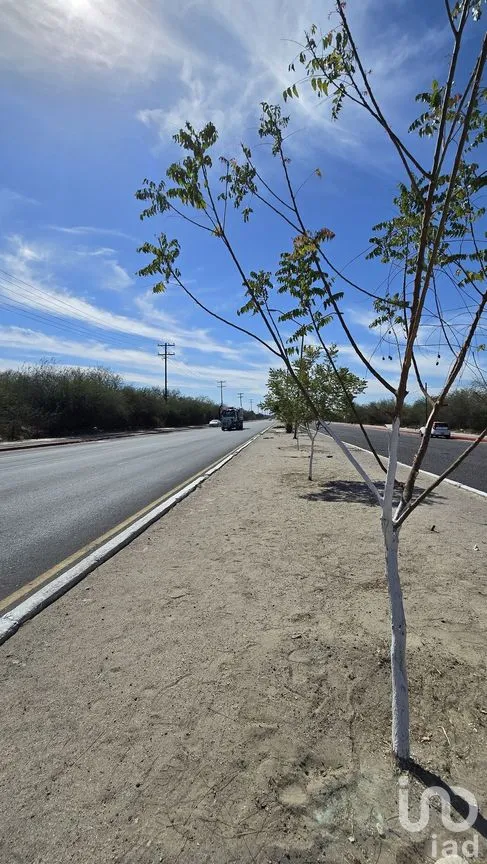 Terreno en Venta en El Zacatal, La Paz, Baja California Sur | NEX-279117 | iad México | Foto 7 de 8