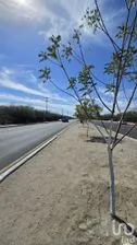 NEX-279118 - Terreno en Venta en El Zacatal, CP 23088, Baja California Sur.