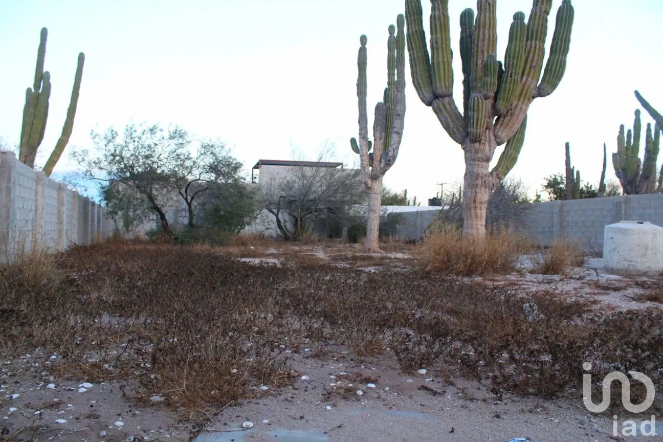 Terreno en Renta en El Centenario, La Paz, Baja California Sur | NEX-279135 | iad México | Foto 2 de 10