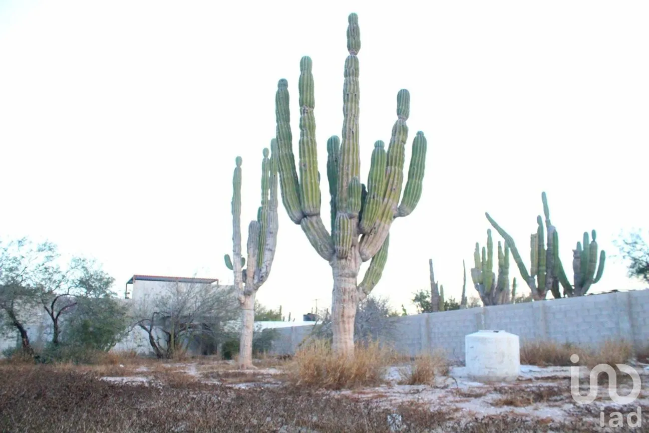 Terreno en Renta en El Centenario, La Paz, Baja California Sur | NEX-279135 | iad México | Foto 3 de 10