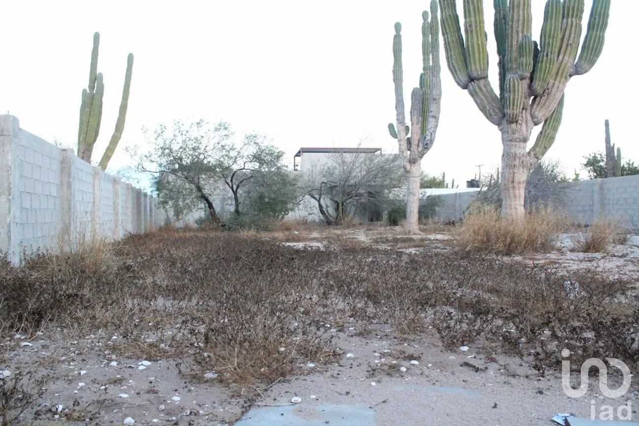 Terreno en Renta en El Centenario, La Paz, Baja California Sur | NEX-279135 | iad México | Foto 4 de 10