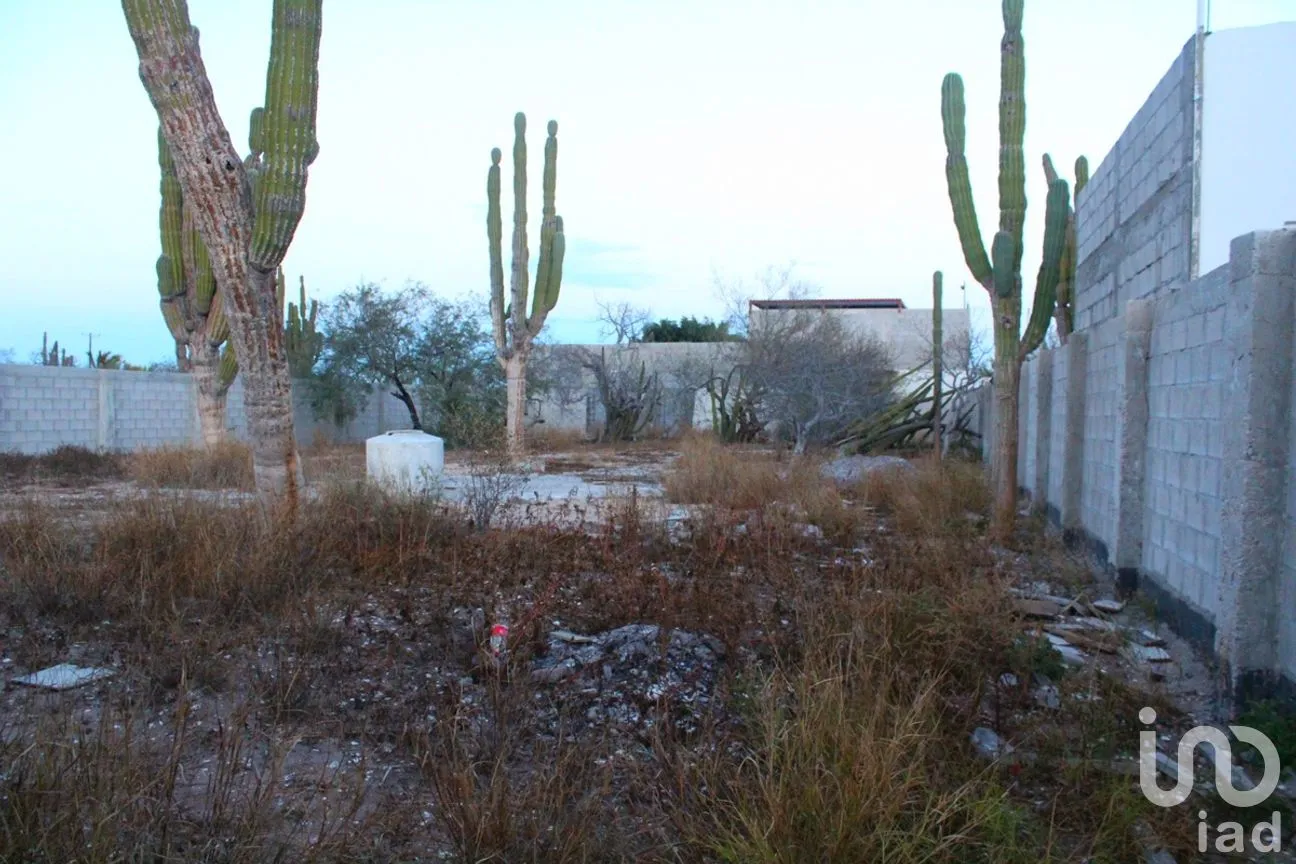 Terreno en Renta en El Centenario, La Paz, Baja California Sur | NEX-279135 | iad México | Foto 5 de 10
