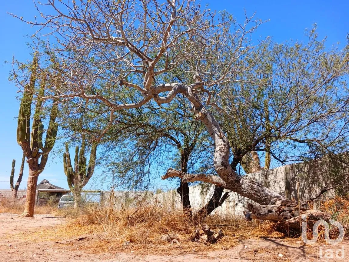 Terreno en Renta en El Centenario, La Paz, Baja California Sur | NEX-279135 | iad México | Foto 6 de 10