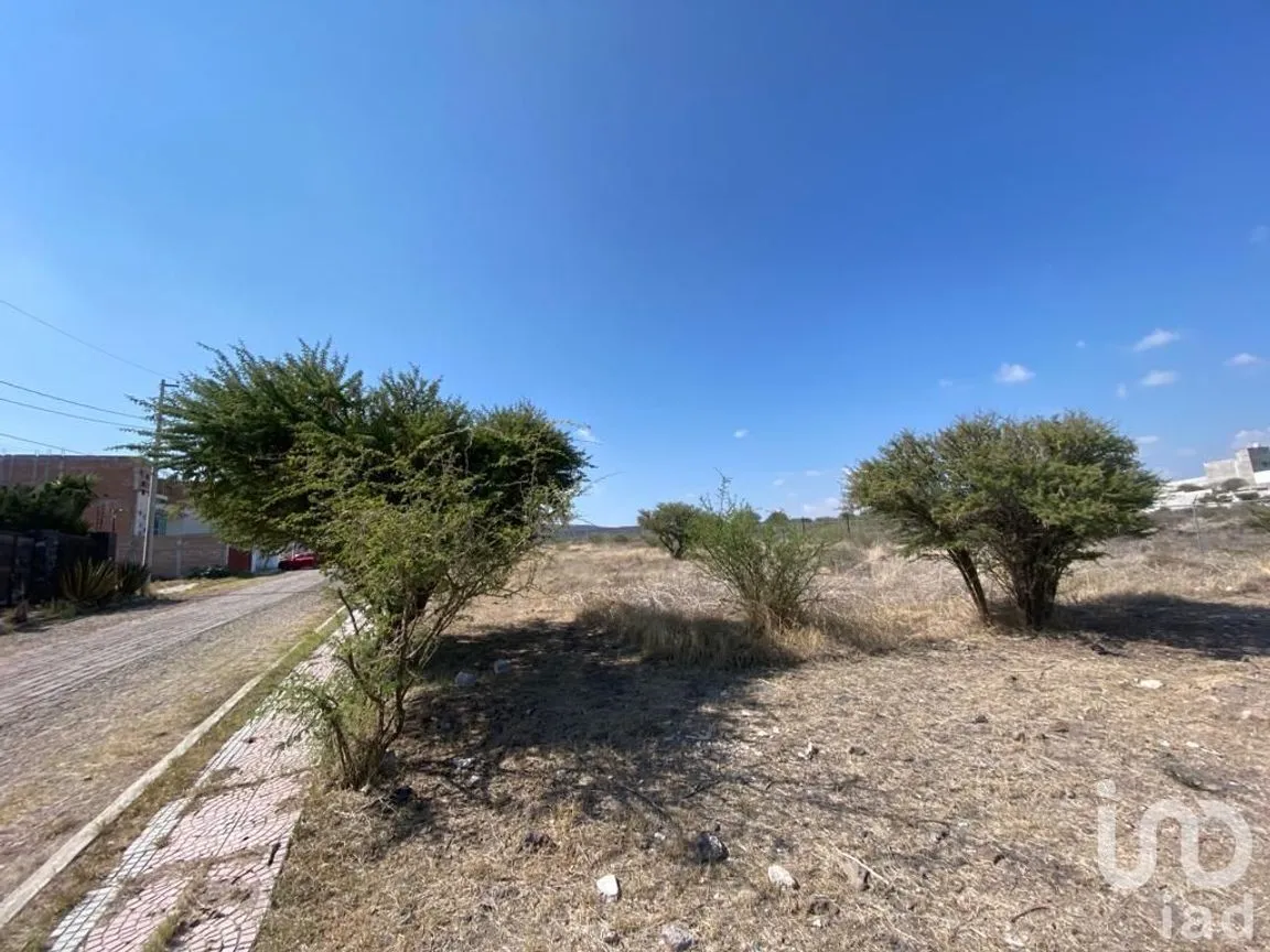 Terreno en Venta en Campestre Italiana, Querétaro, Querétaro | NEX-228806 | iad México | Foto 20 de 20