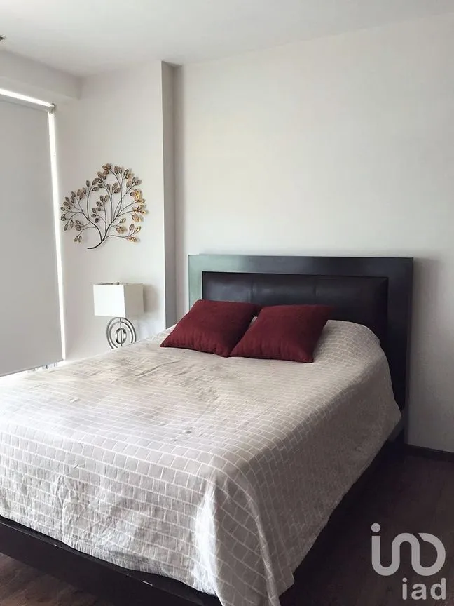 Departamento en Renta en Centro Sur, Querétaro, Querétaro | NEX-228820 | iad México | Foto 39 de 46