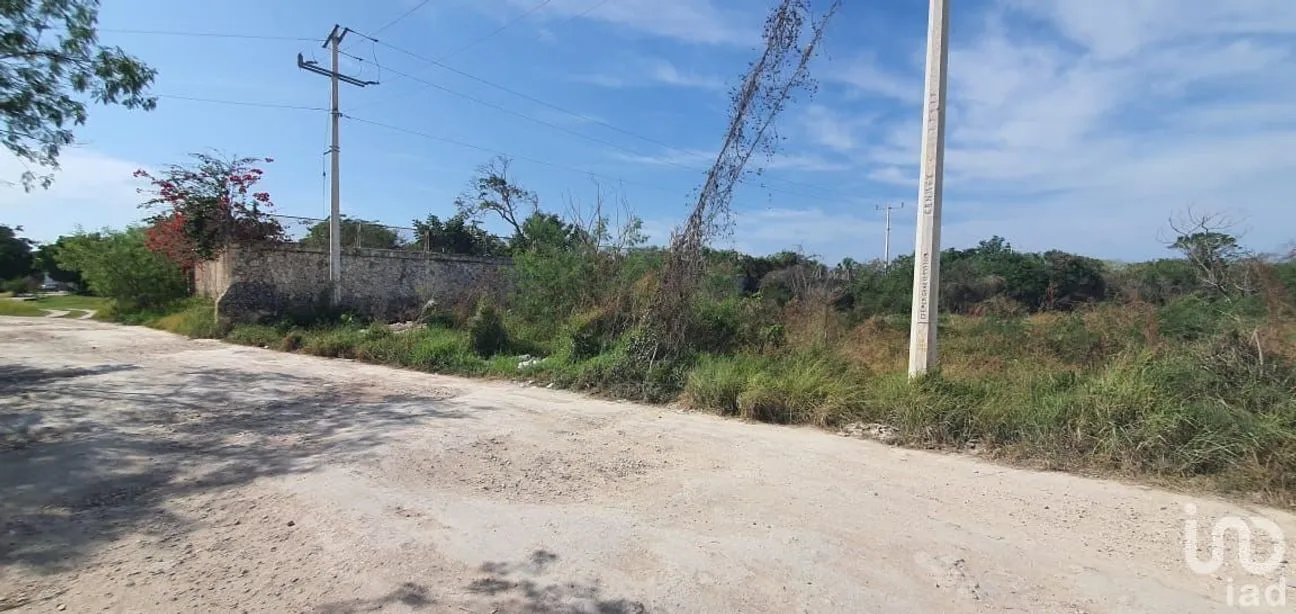 Terreno en Venta en Dzityá, Mérida, Yucatán | NEX-228930 | iad México | Foto 3 de 3