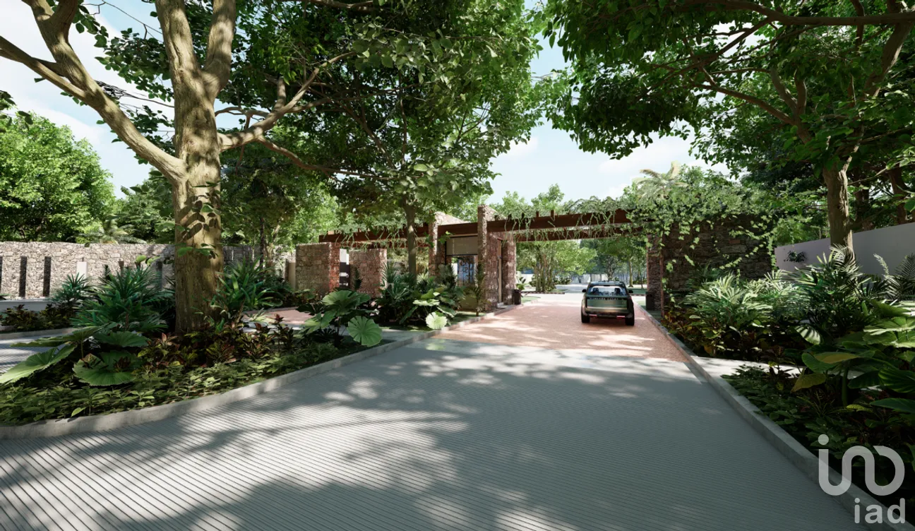 Terreno en Venta en Yalcon, Valladolid, Yucatán | NEX-228936 | iad México | Foto 5 de 9