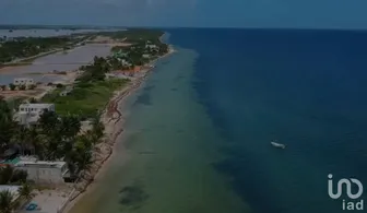 NEX-228937 - Terreno en Venta en Santa Clara, CP 97504, Yucatán.