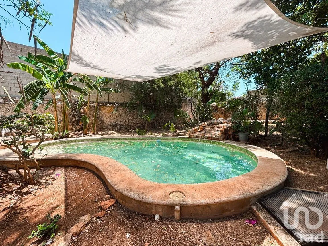 Casa en Renta en Mérida Centro, Mérida, Yucatán | NEX-228938 | iad México | Foto 11 de 17