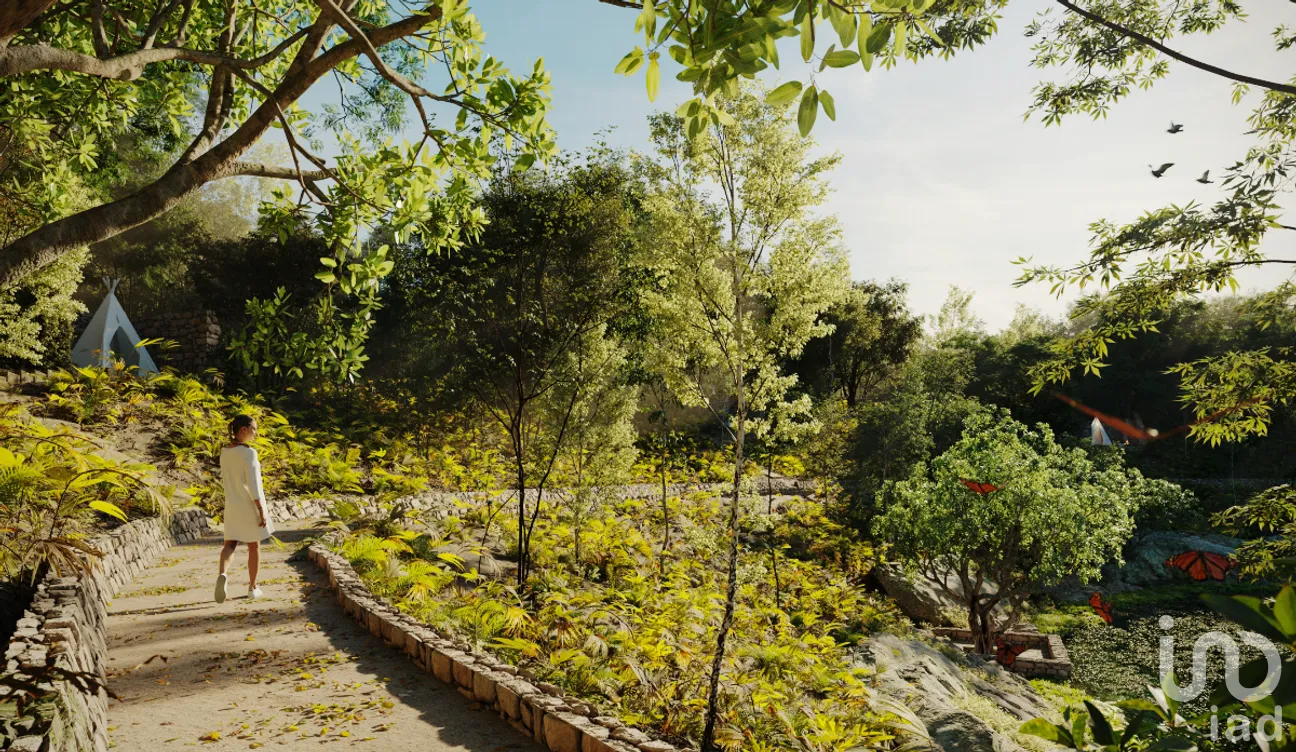 Terreno en Venta en Libre Unión, Yaxcabá, Yucatán | NEX-228945 | iad México | Foto 4 de 13