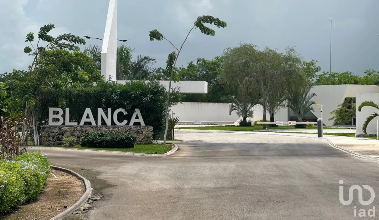 Terreno en Venta en Kikteil, Mérida, Yucatán | NEX-228946 | iad México | Foto 11 de 14