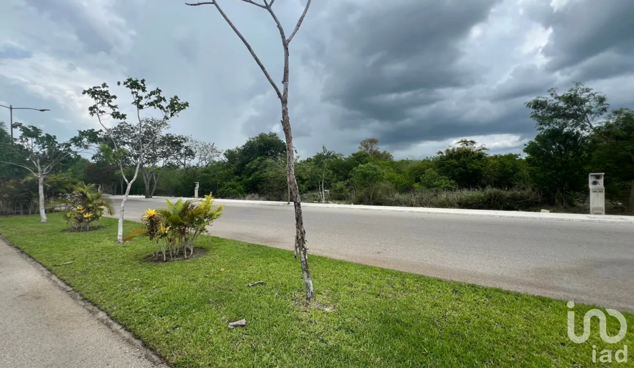 Terreno en Venta en Kikteil, Mérida, Yucatán | NEX-228946 | iad México | Foto 14 de 14