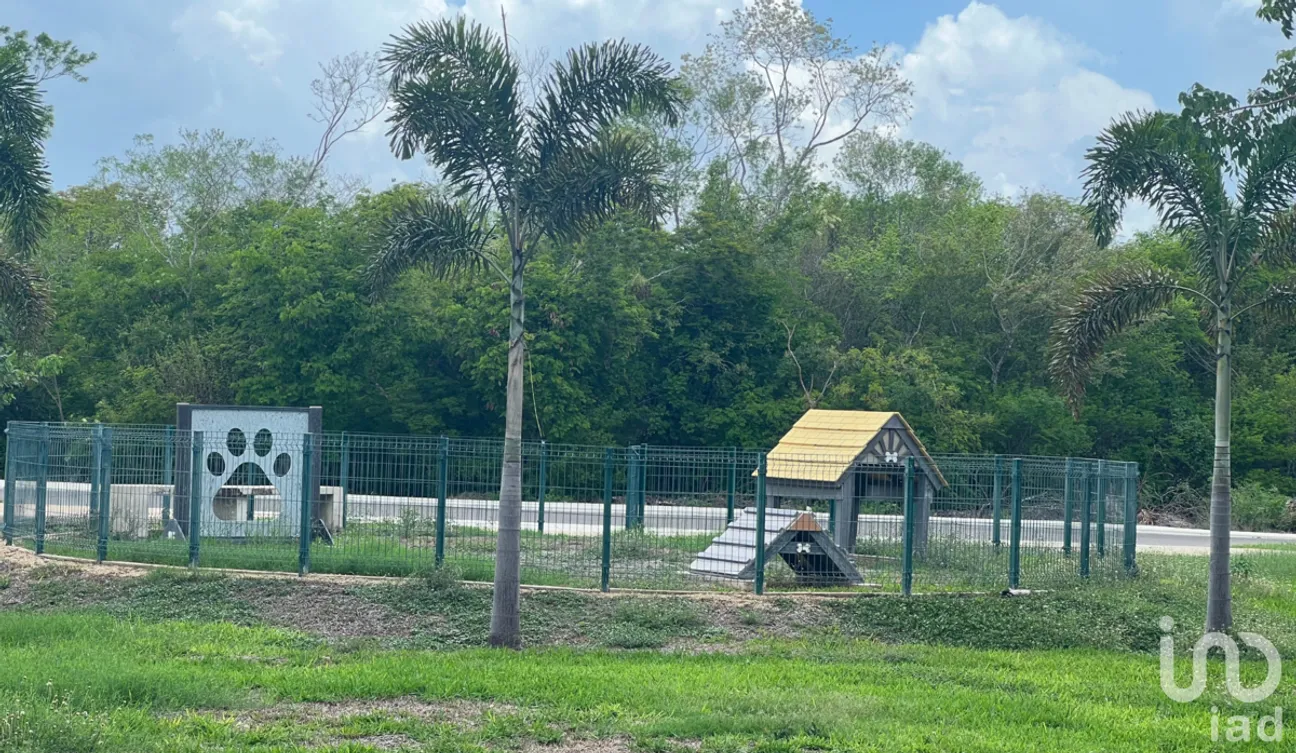 Terreno en Venta en Kikteil, Mérida, Yucatán | NEX-228946 | iad México | Foto 8 de 14