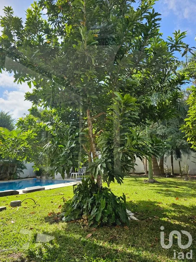 Casa en Venta en Cholul, Mérida, Yucatán | NEX-274589 | iad México | Foto 14 de 17