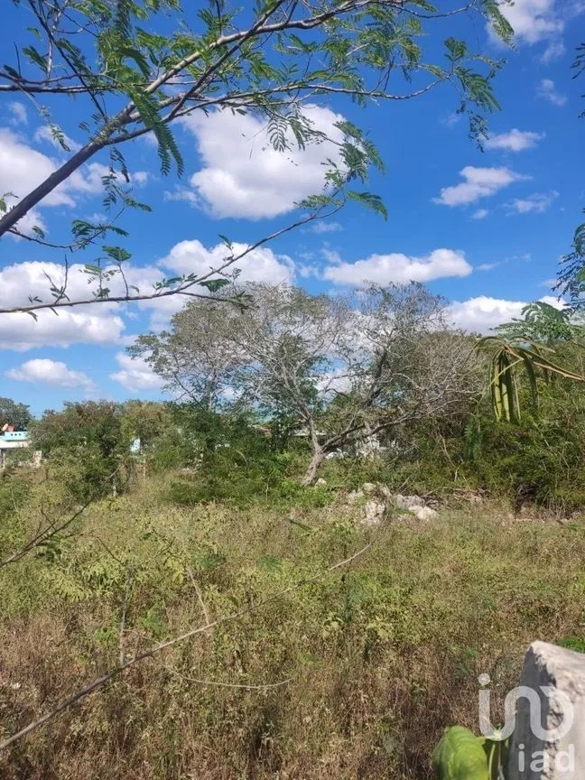 Terreno en Venta en Ciudad Caucel, Mérida, Yucatán | NEX-230106 | iad México | Foto 4 de 5