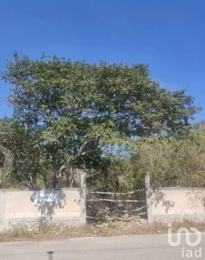 Terreno en Venta en Cholul, Mérida, Yucatán | NEX-232586 | iad México | Foto 1 de 2