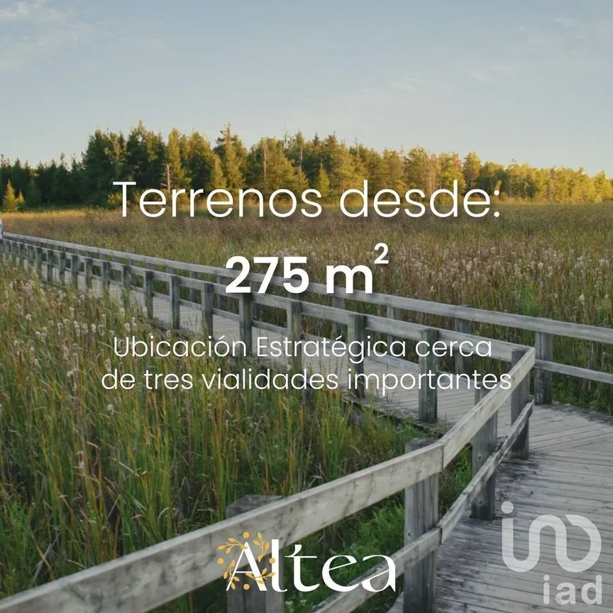 Terreno en Venta en Tixkuncheil, Baca, Yucatán | NEX-226978 | iad México | Foto 11 de 11