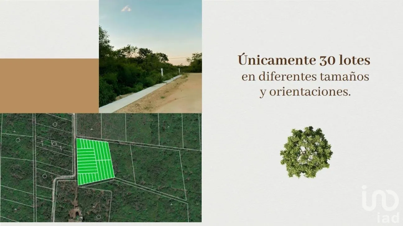 Terreno en Venta en Tixkuncheil, Baca, Yucatán | NEX-226979 | iad México | Foto 10 de 10