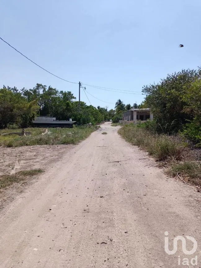 Terreno en Venta en Santa Clara, Dzidzantún, Yucatán | NEX-232006 | iad México | Foto 3 de 6
