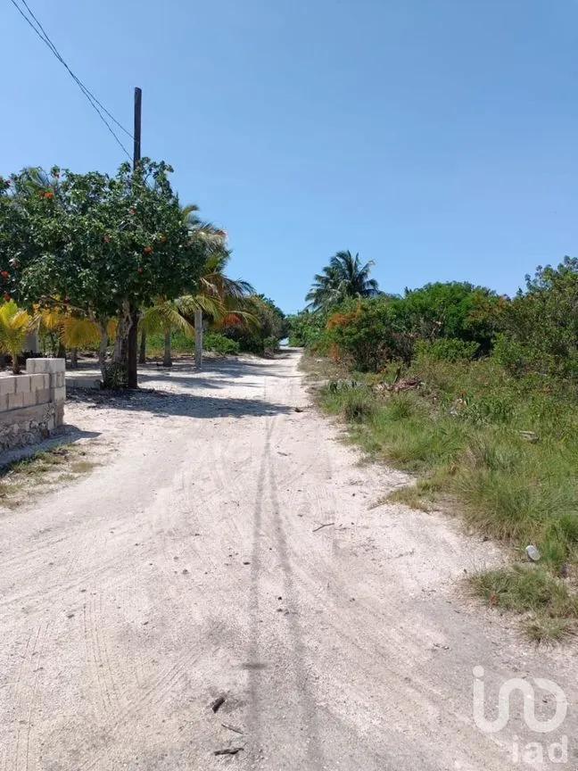 Terreno en Venta en Santa Clara, Dzidzantún, Yucatán | NEX-232006 | iad México | Foto 4 de 6